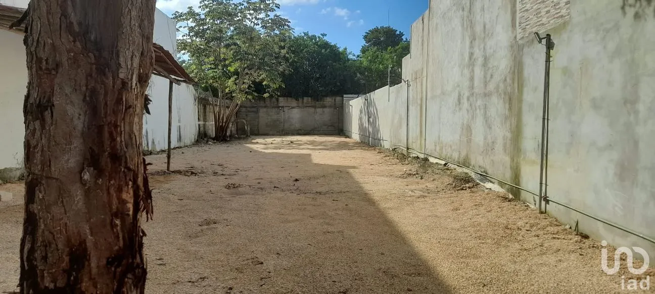 Terreno en Renta en Alfredo V Bonfil, Benito Juárez, Quintana Roo | NEX-305094 | iad México | Foto 2 de 6