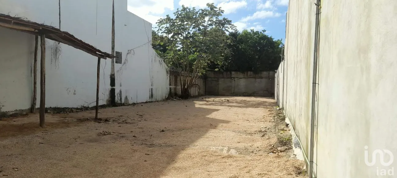 Terreno en Renta en Alfredo V Bonfil, Benito Juárez, Quintana Roo | NEX-305094 | iad México | Foto 3 de 6