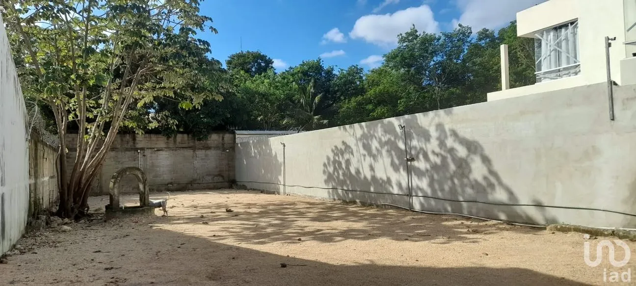 Terreno en Renta en Alfredo V Bonfil, Benito Juárez, Quintana Roo | NEX-305094 | iad México | Foto 4 de 6