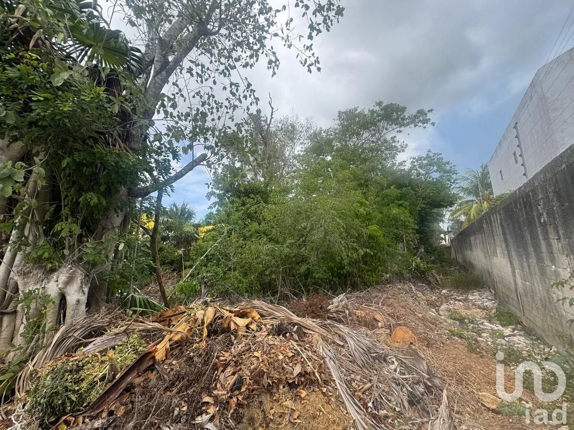 Terreno en Venta en Supermanzana 49, Benito Juárez, Quintana Roo | NEX-305370 | iad México | Foto 4 de 9