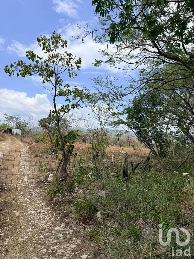 Terreno en Venta en Colon, Tuxtla Gutiérrez, Chiapas | NEX-305652 | iad México | Foto 2 de 8