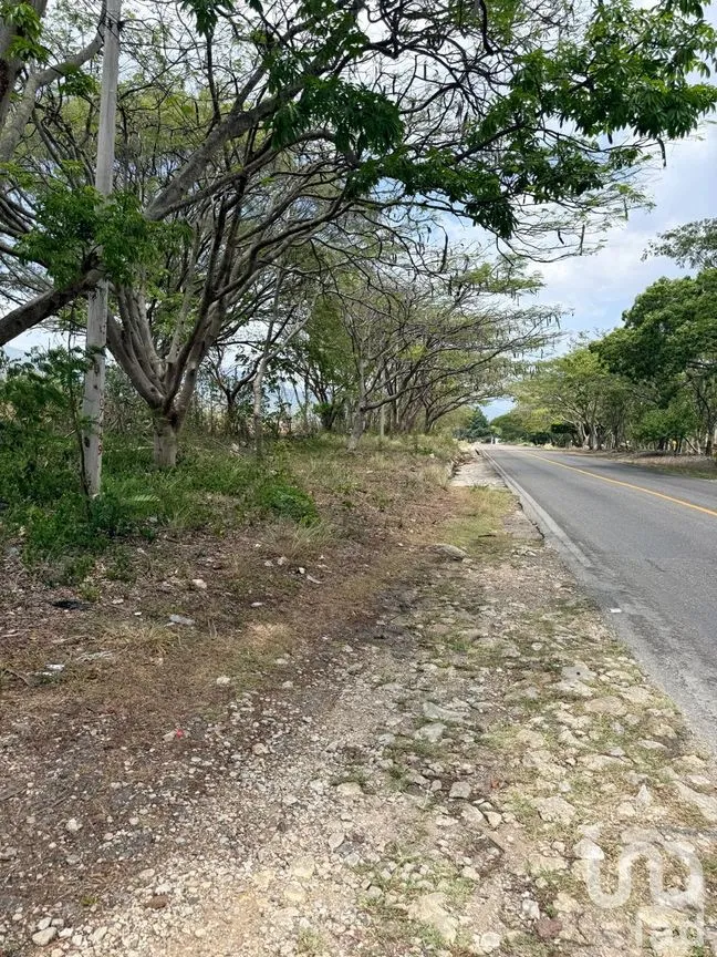 Terreno en Venta en Colon, Tuxtla Gutiérrez, Chiapas | NEX-305652 | iad México | Foto 3 de 8