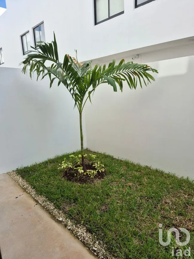 Casa en Venta en Arbolada, Benito Juárez, Quintana Roo | NEX-306392 | iad México | Foto 3 de 15