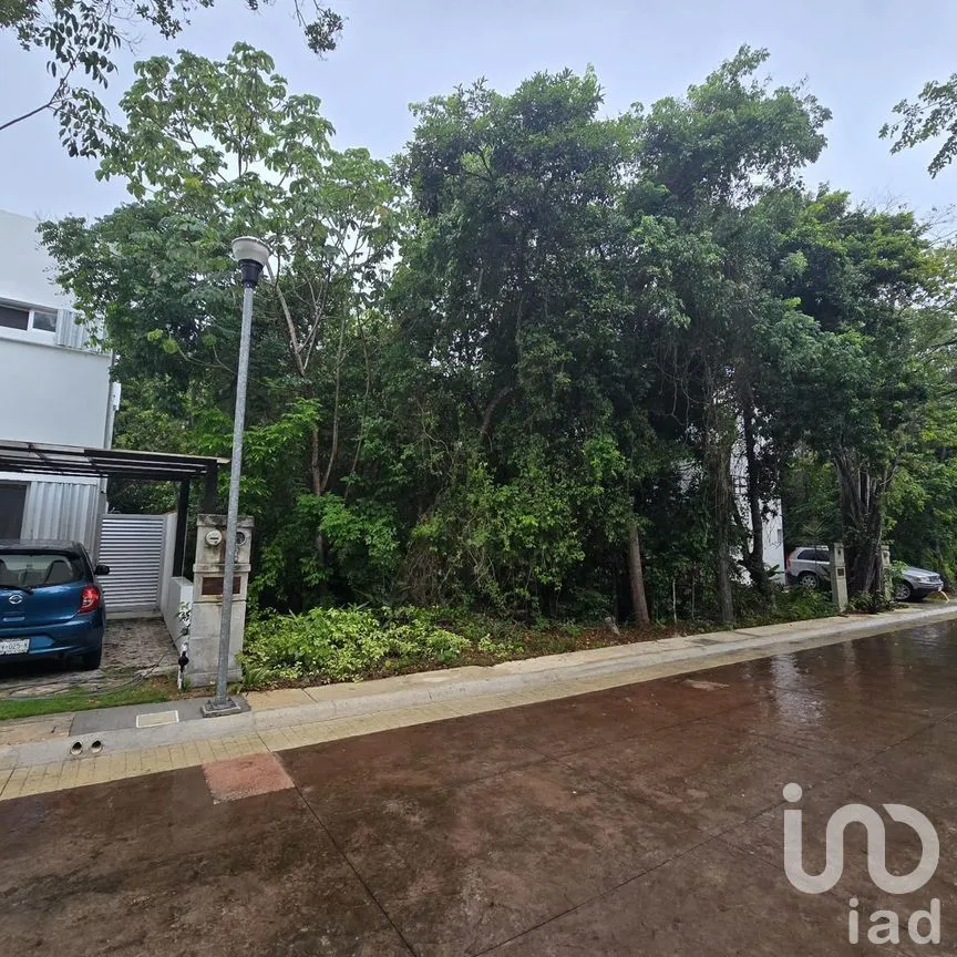 Terreno en Venta en Puerto Morelos, Puerto Morelos, Quintana Roo | NEX-308603 | iad México | Foto 2 de 6
