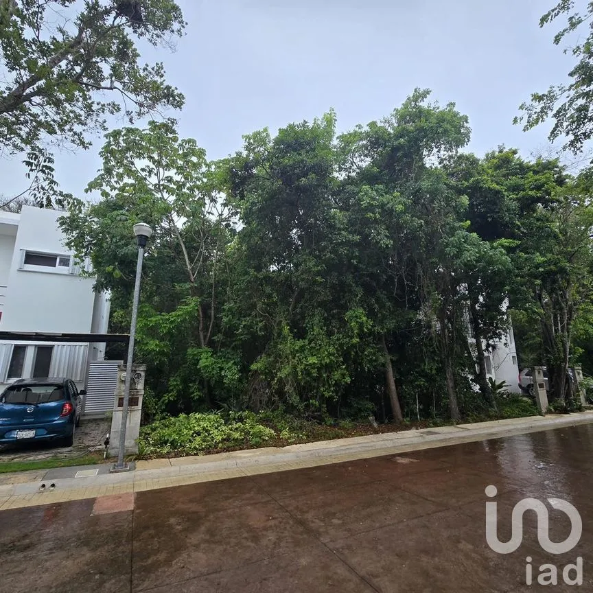 Terreno en Venta en Puerto Morelos, Puerto Morelos, Quintana Roo | NEX-308603 | iad México | Foto 3 de 6