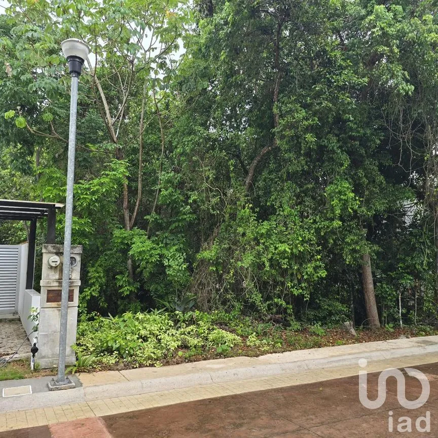 Terreno en Venta en Puerto Morelos, Puerto Morelos, Quintana Roo | NEX-308603 | iad México | Foto 4 de 6