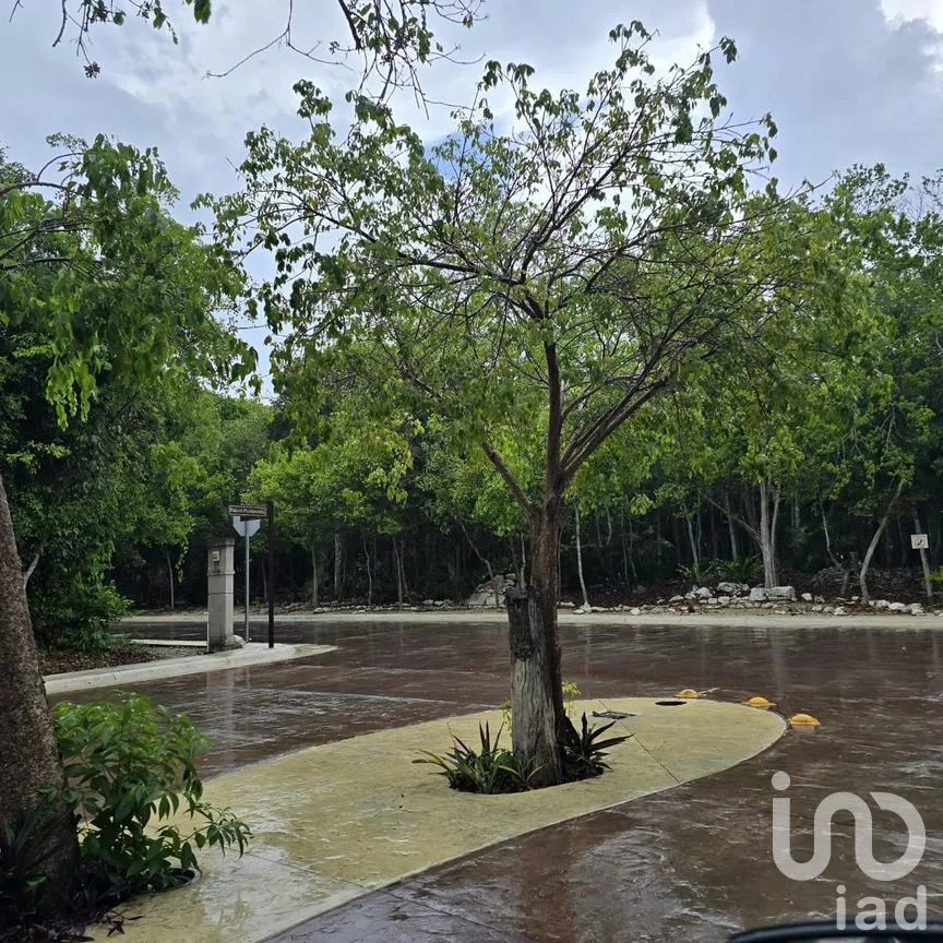 Terreno en Venta en Puerto Morelos, Puerto Morelos, Quintana Roo | NEX-308603 | iad México | Foto 5 de 6