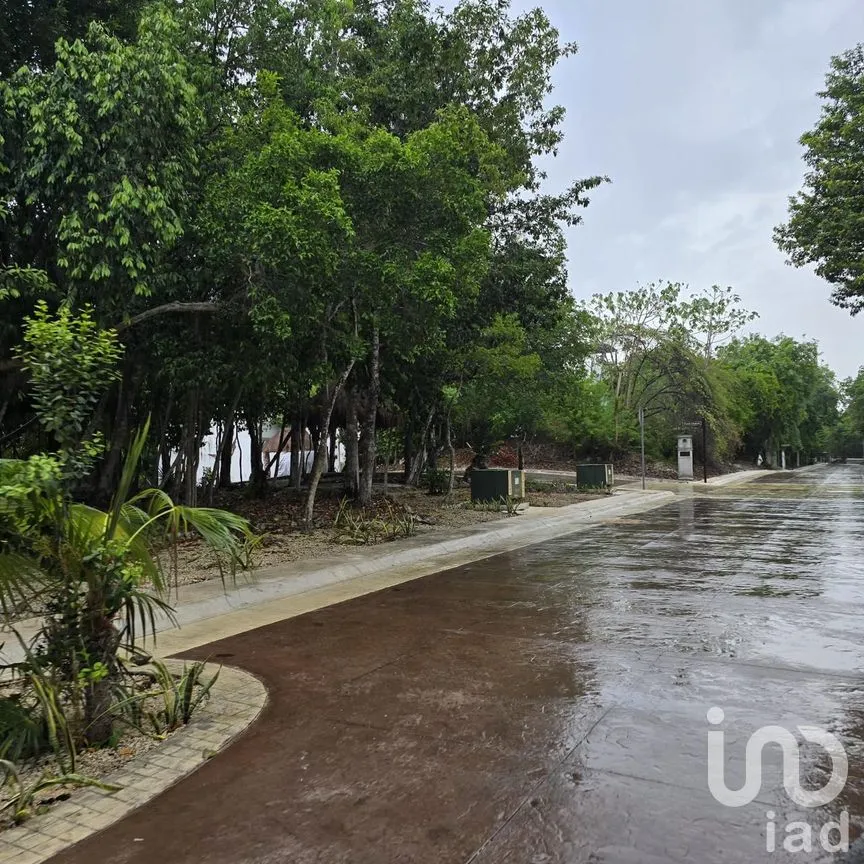 Terreno en Venta en Puerto Morelos, Puerto Morelos, Quintana Roo | NEX-308603 | iad México | Foto 6 de 6