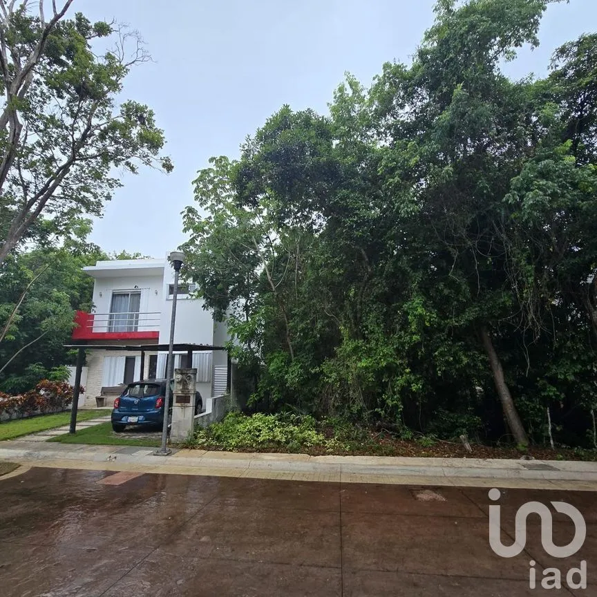 Terreno en Venta en Puerto Morelos, Puerto Morelos, Quintana Roo | NEX-308603 | iad México | Foto 1 de 6
