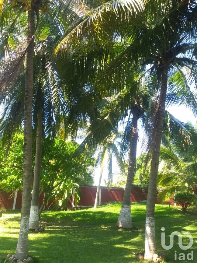 Casa en Venta en Cabeza de Toro, Tonalá, Chiapas | NEX-58833 | iad México | Foto 15 de 26