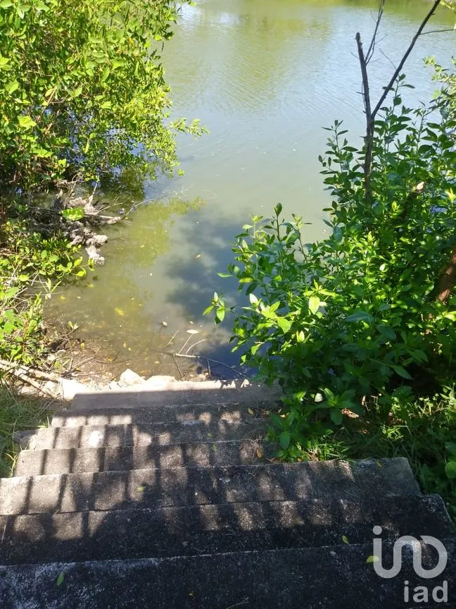 Casa en Venta en Cabeza de Toro, Tonalá, Chiapas | NEX-58833 | iad México | Foto 11 de 26