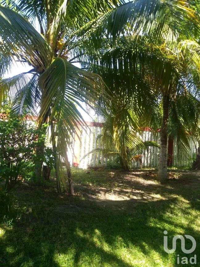 Casa en Venta en Cabeza de Toro, Tonalá, Chiapas | NEX-58833 | iad México | Foto 14 de 26