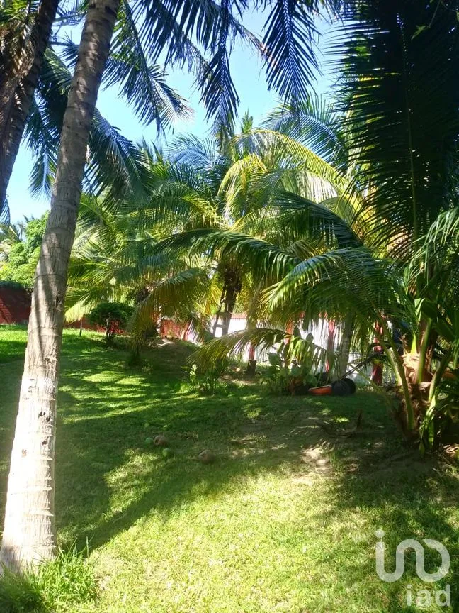 Casa en Venta en Cabeza de Toro, Tonalá, Chiapas | NEX-58833 | iad México | Foto 17 de 26