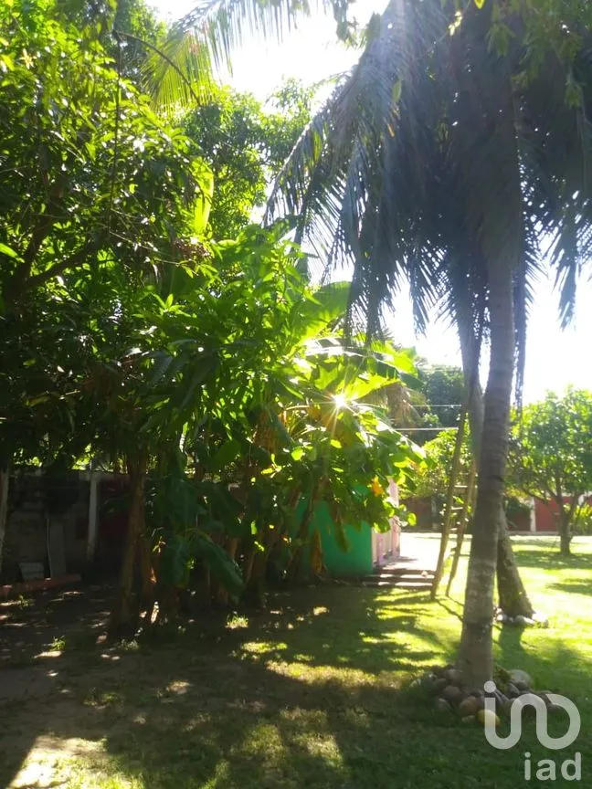 Casa en Venta en Cabeza de Toro, Tonalá, Chiapas | NEX-58833 | iad México | Foto 19 de 26