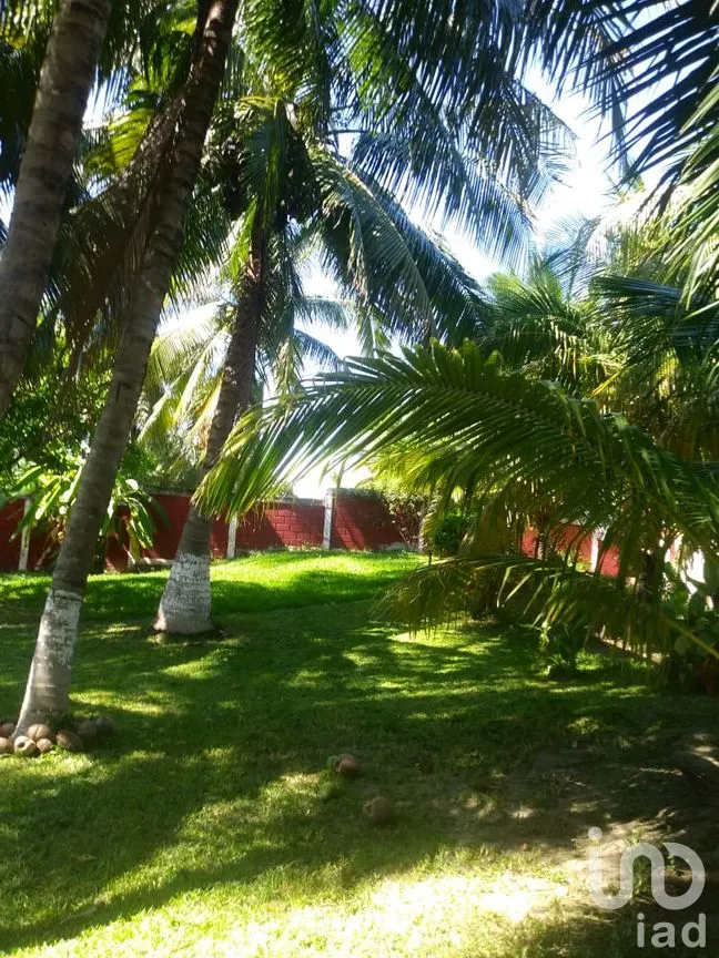 Casa en Venta en Cabeza de Toro, Tonalá, Chiapas | NEX-58833 | iad México | Foto 23 de 26