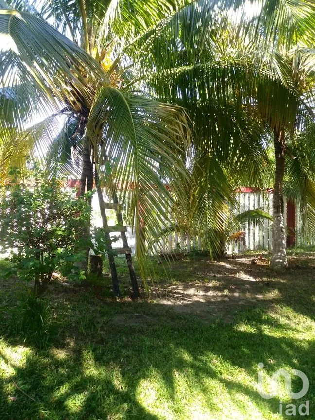 Casa en Venta en Cabeza de Toro, Tonalá, Chiapas | NEX-58833 | iad México | Foto 24 de 26