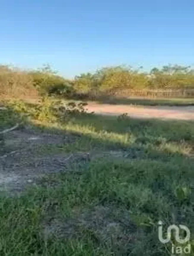 Terreno en Venta en Supermanzana 1, Isla Mujeres, Quintana Roo | NEX-65875 | iad México | Foto 1 de 7