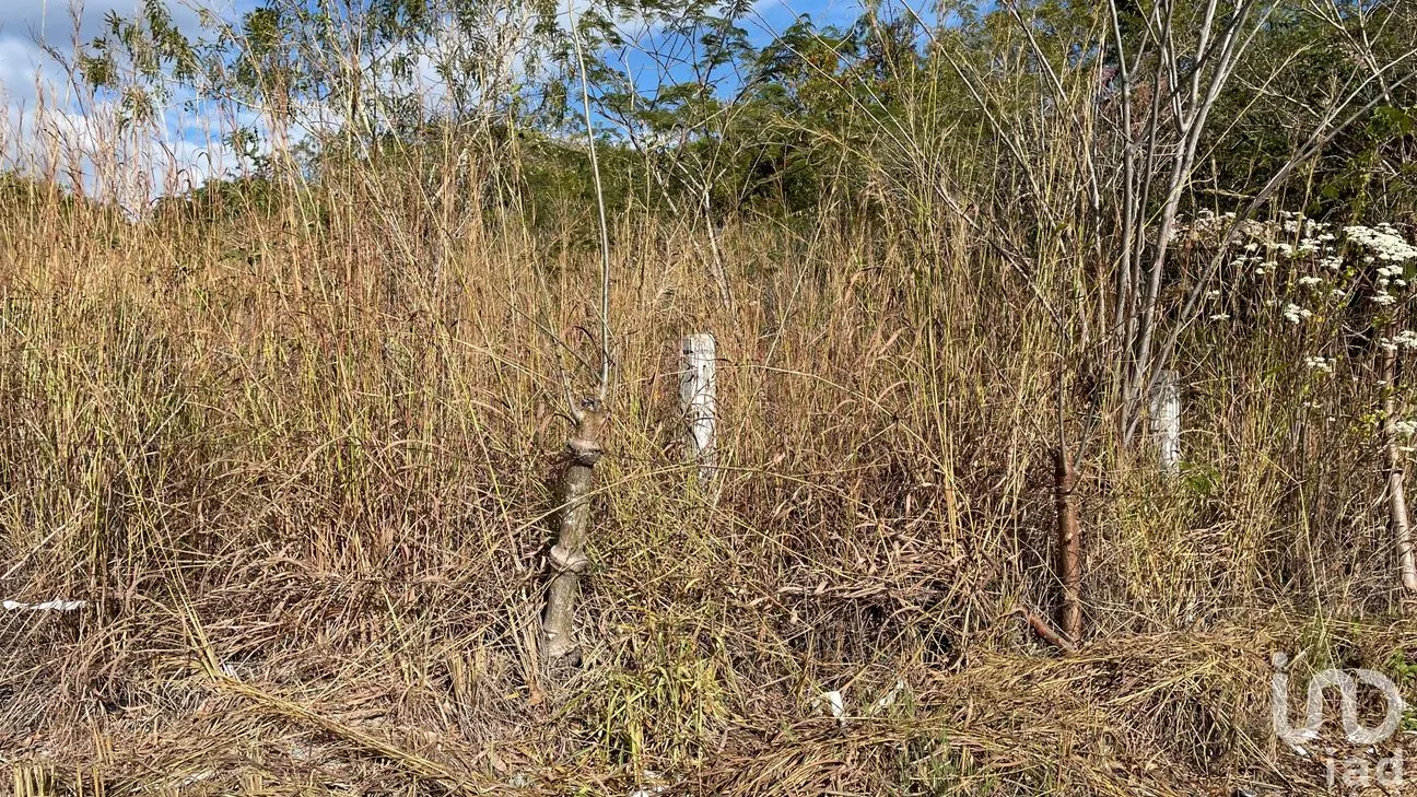 Terreno en Venta en Berriozabal Centro, Berriozábal, Chiapas | NEX-70901 | iad México | Foto 3 de 11