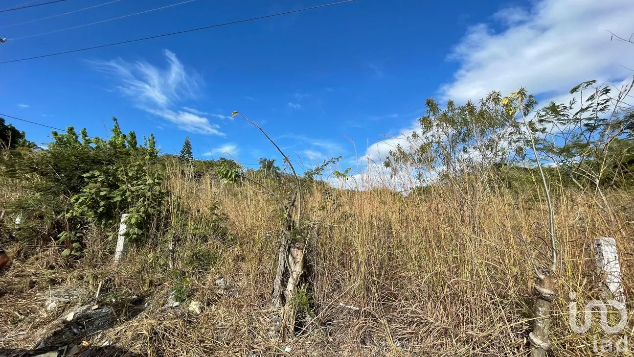 Terreno en Venta en Berriozabal Centro, Berriozábal, Chiapas | NEX-70901 | iad México | Foto 4 de 11