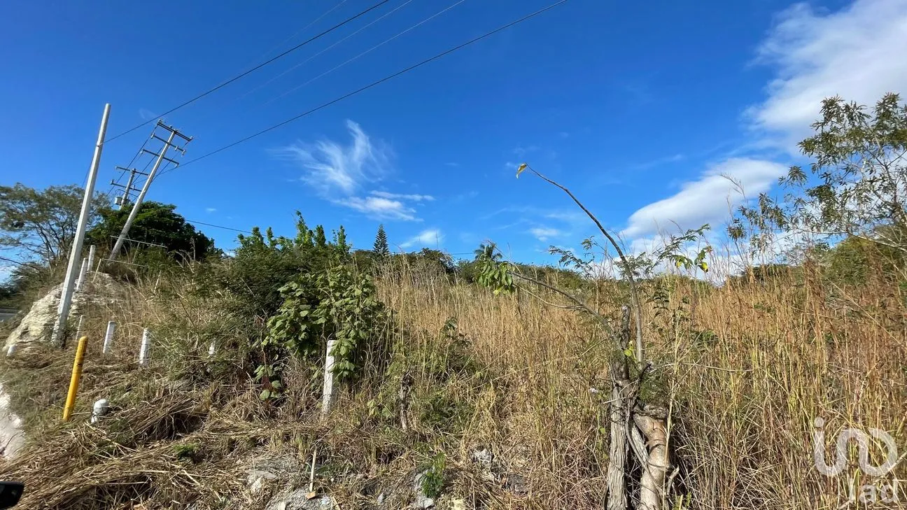 Terreno en Venta en Berriozabal Centro, Berriozábal, Chiapas | NEX-70901 | iad México | Foto 10 de 11