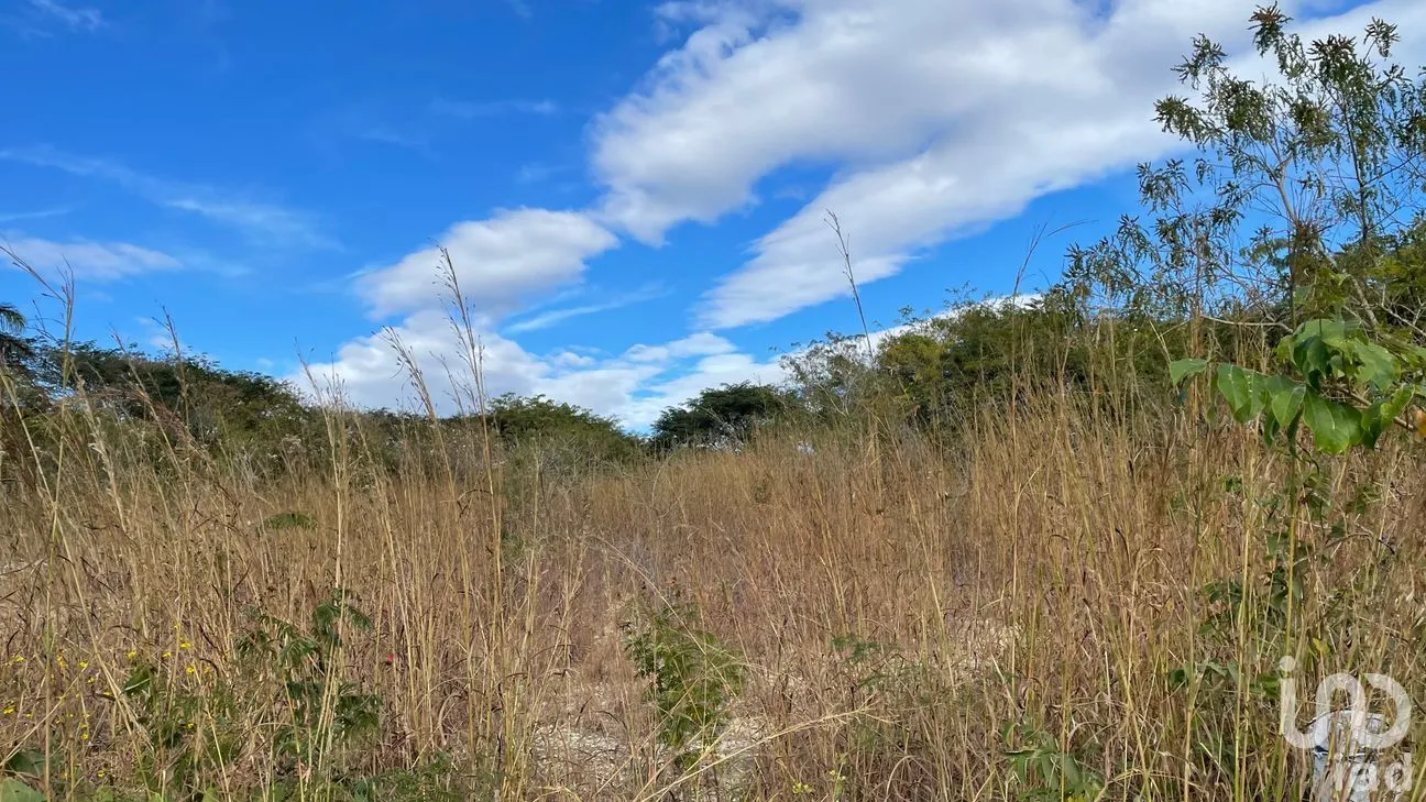 Terreno en Venta en Berriozabal Centro, Berriozábal, Chiapas | NEX-70901 | iad México | Foto 7 de 9