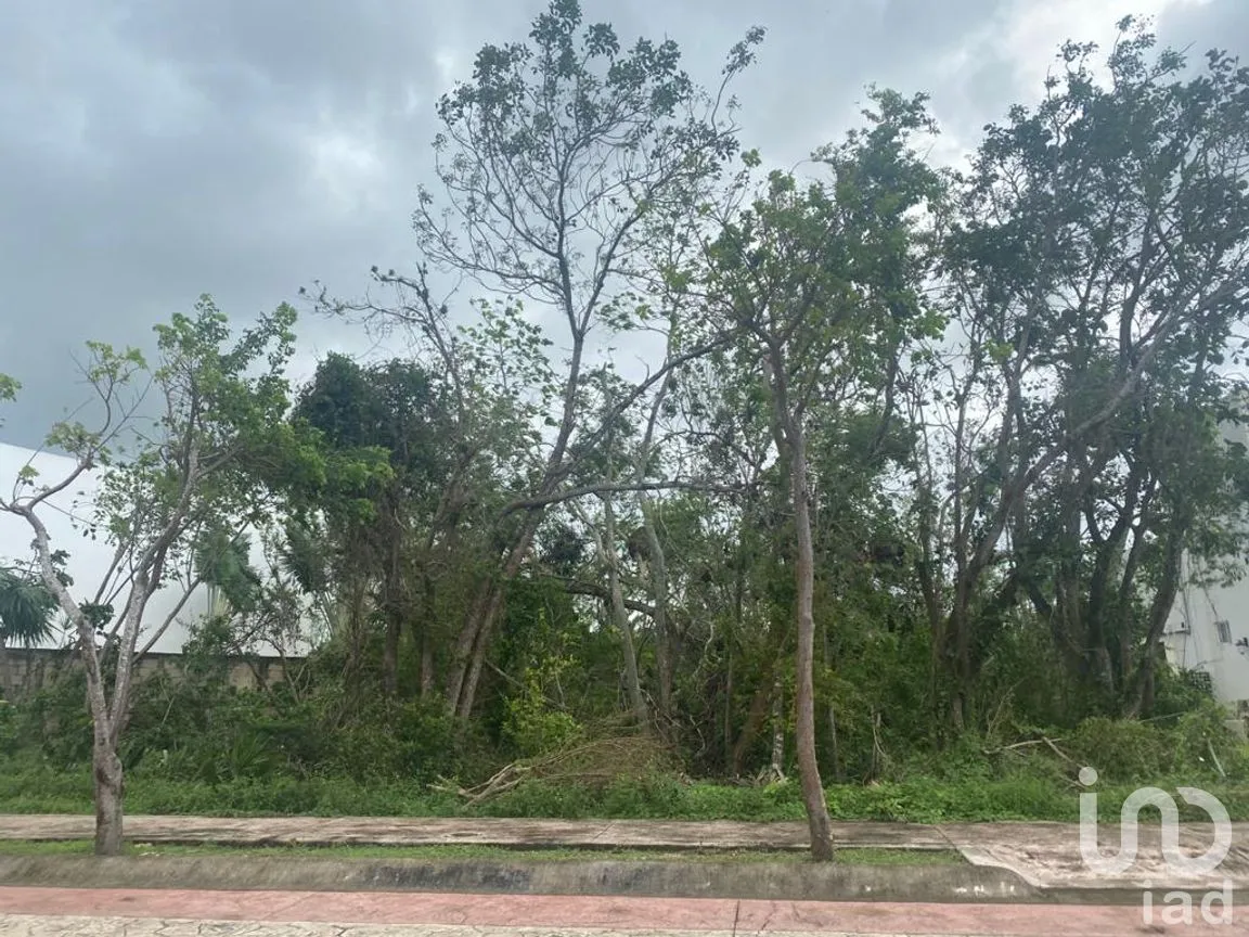 Terreno en Venta en Lagos del Sol, Benito Juárez, Quintana Roo | NEX-71175 | iad México | Foto 6 de 8