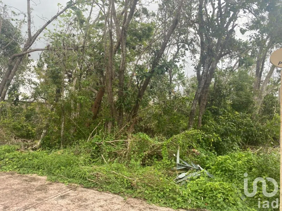 Terreno en Venta en Lagos del Sol, Benito Juárez, Quintana Roo | NEX-71175 | iad México | Foto 1 de 8