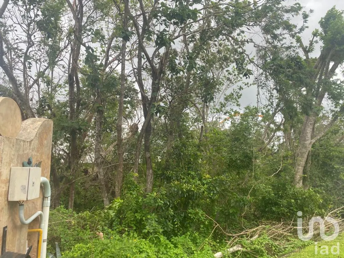 Terreno en Venta en Lagos del Sol, Benito Juárez, Quintana Roo | NEX-71176 | iad México | Foto 7 de 8