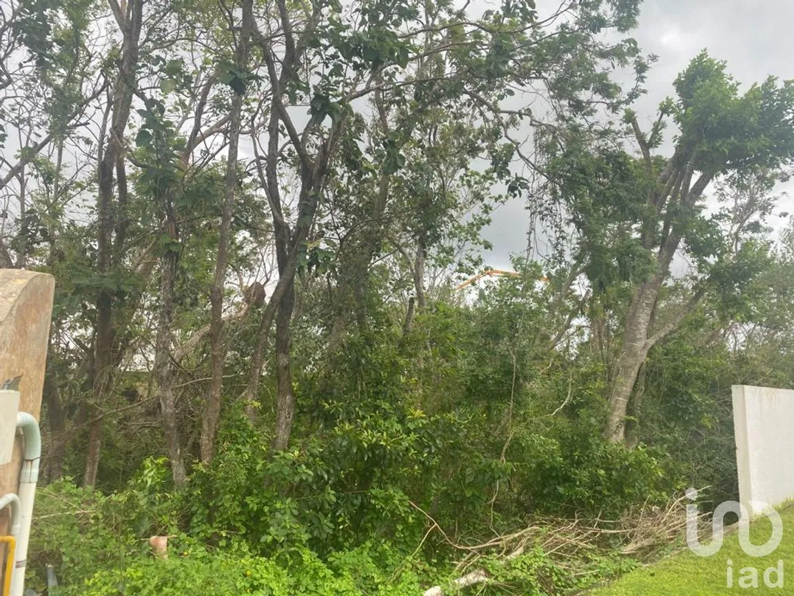 Terreno en Venta en Lagos del Sol, Benito Juárez, Quintana Roo | NEX-71176 | iad México | Foto 8 de 8