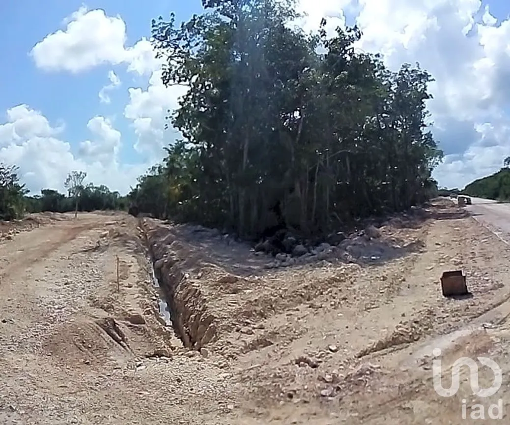 Terreno en Venta en Cancún (Internacional de Cancún), Benito Juárez, Quintana Roo | NEX-7481 | iad México | Foto 8 de 9
