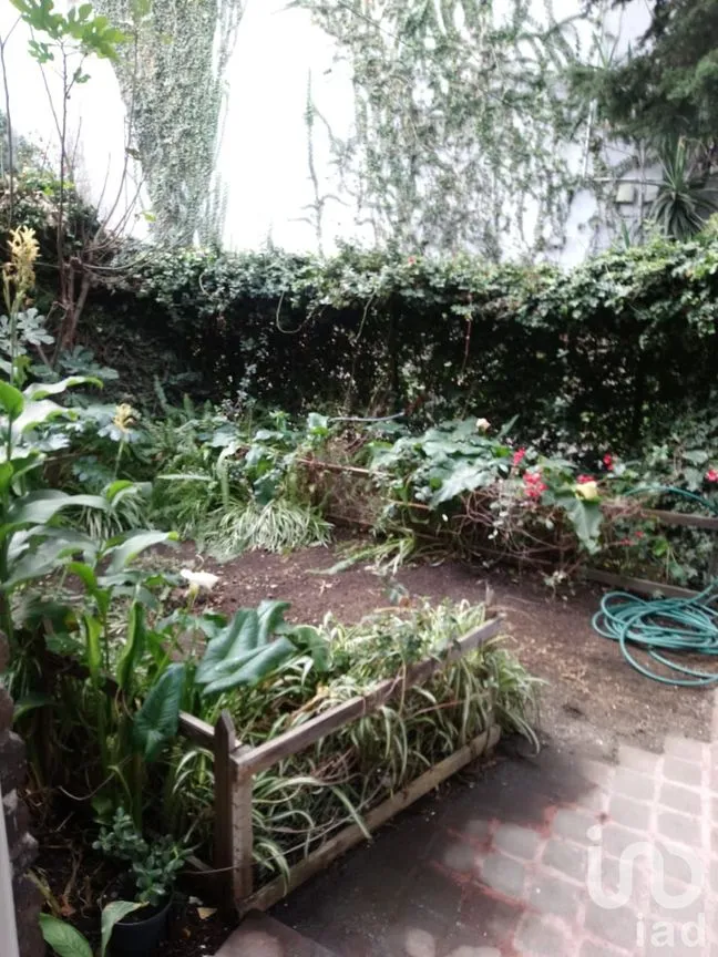 Casa en Renta en Del Valle Norte, Benito Juárez, Ciudad de México | NEX-25562 | iad México | Foto 2 de 12