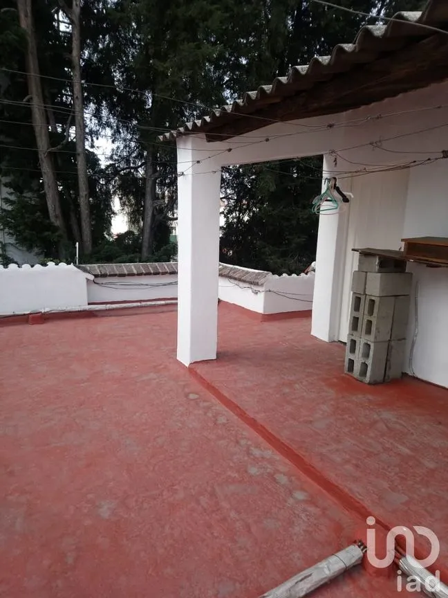 Casa en Renta en Del Valle Norte, Benito Juárez, Ciudad de México | NEX-25562 | iad México | Foto 10 de 12