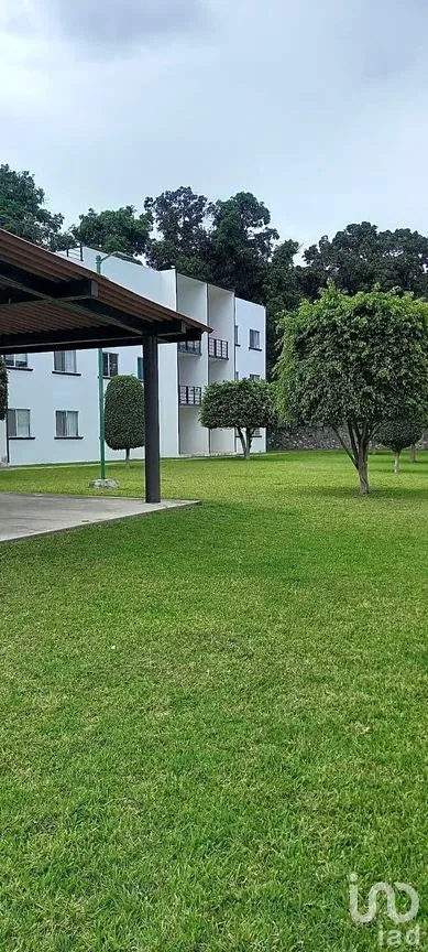 Departamento en Renta en Villas Jazmín, Yautepec, Morelos | NEX-294154 | iad México | Foto 11 de 12
