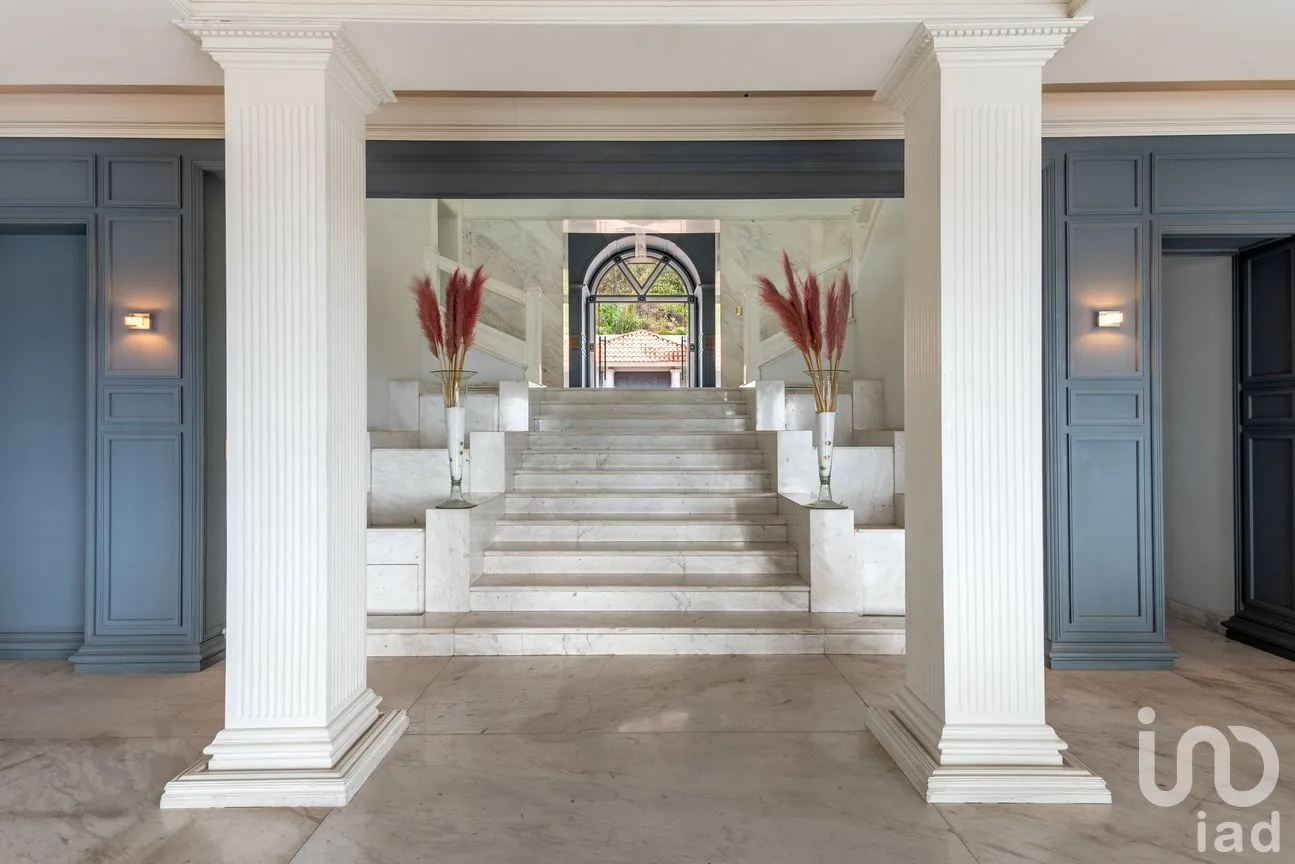 Casa en Venta en Jardines del Pedregal de San Ángel, Coyoacán, Ciudad de México | NEX-32411 | iad México | Foto 5 de 33