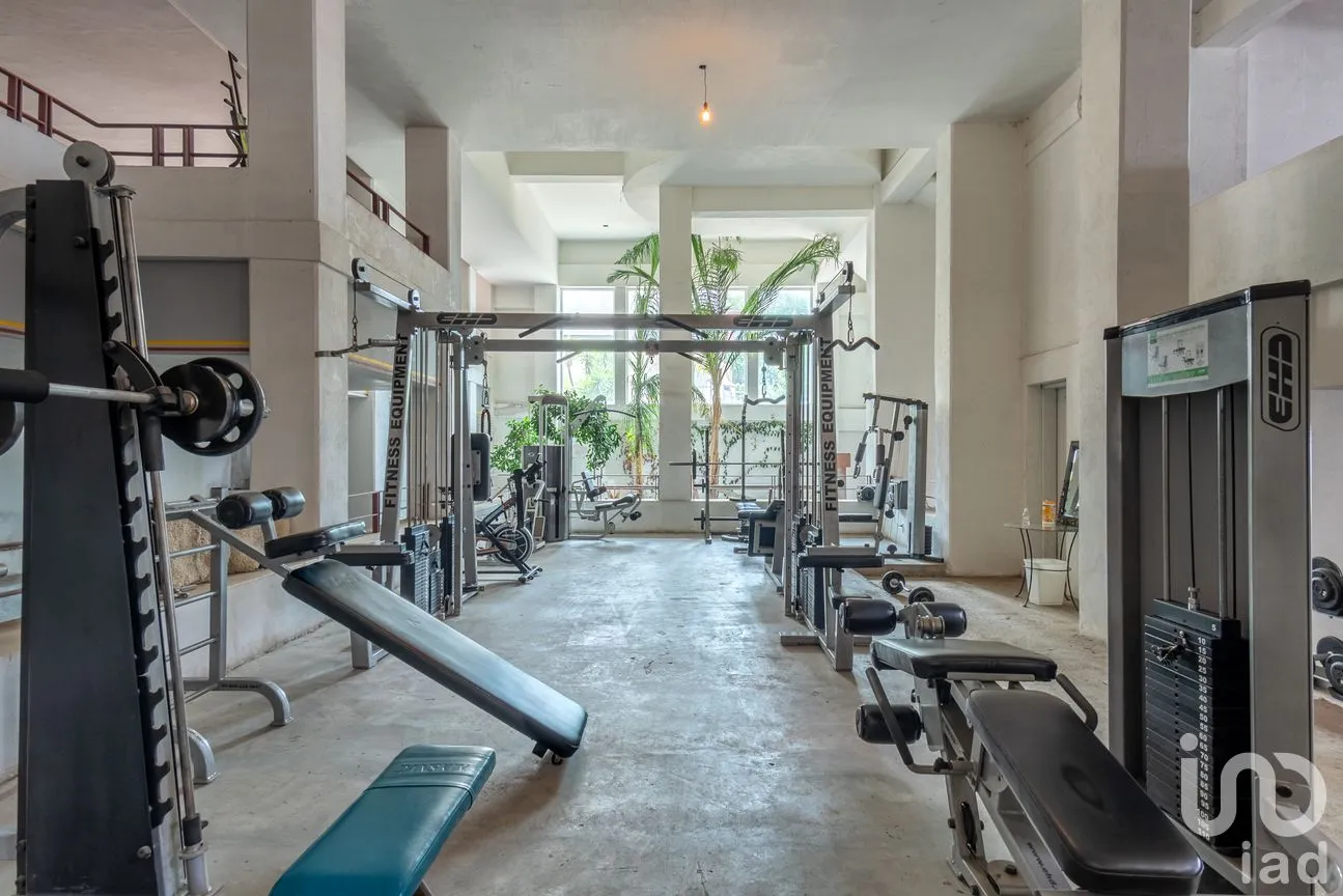 Casa en Venta en Jardines del Pedregal de San Ángel, Coyoacán, Ciudad de México | NEX-32411 | iad México | Foto 6 de 33