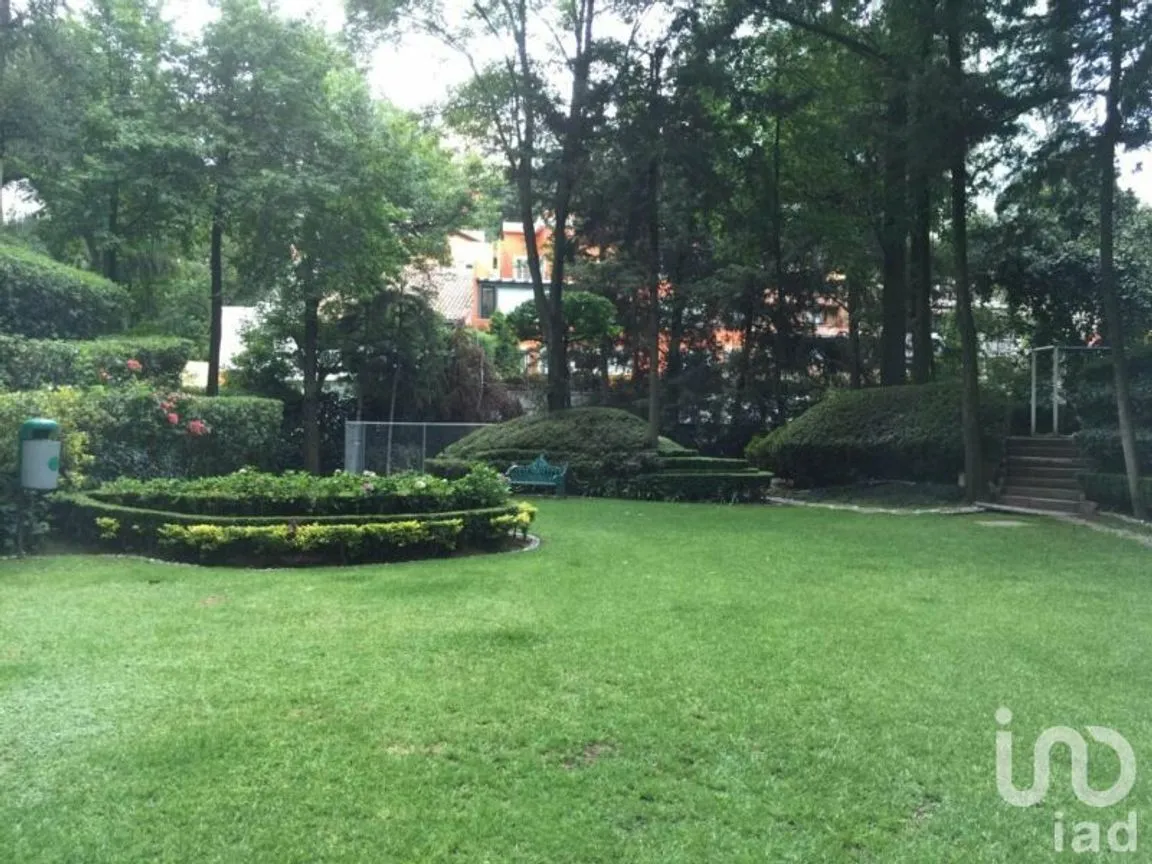 Departamento en Renta en Bosque de las Lomas, Miguel Hidalgo, Ciudad de México | NEX-39686 | iad México | Foto 12 de 15