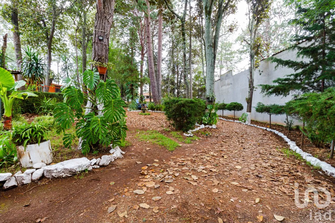 Casa en Venta en La Garita, San Cristóbal de las Casas, Chiapas | NEX-171261 | iad México | Foto 4 de 29
