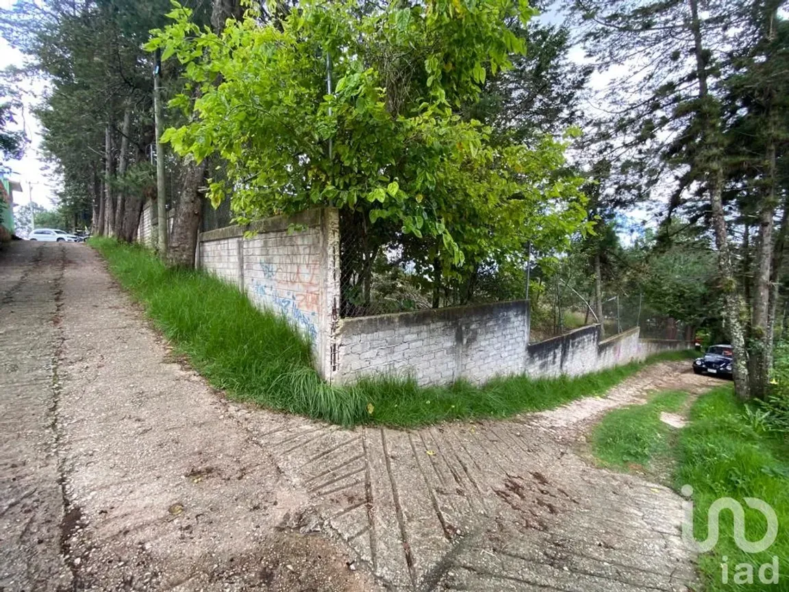 Terreno en Venta en Los Alcanfores, San Cristóbal de las Casas, Chiapas | NEX-182620 | iad México | Foto 12 de 12