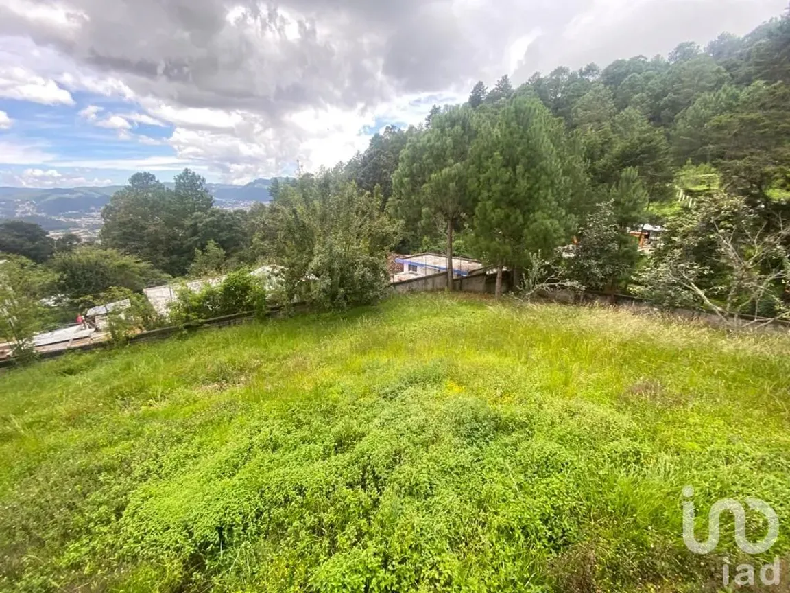 Terreno en Venta en Los Alcanfores, San Cristóbal de las Casas, Chiapas | NEX-182620 | iad México | Foto 5 de 12