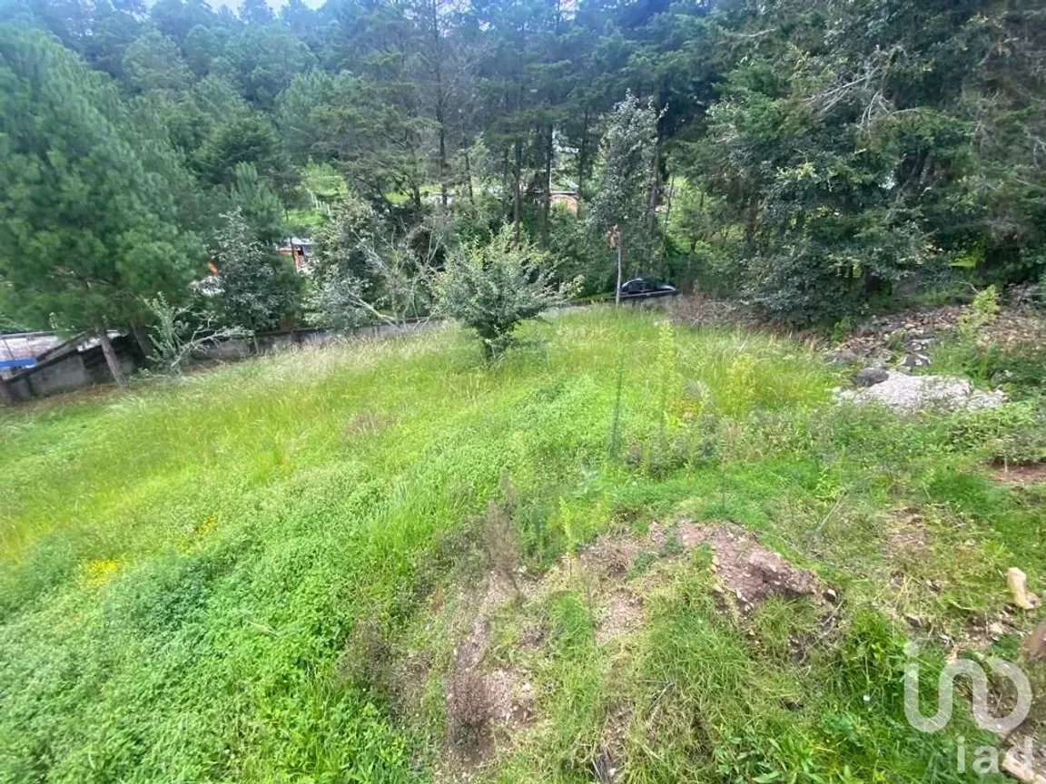 Terreno en Venta en Los Alcanfores, San Cristóbal de las Casas, Chiapas | NEX-182620 | iad México | Foto 6 de 12