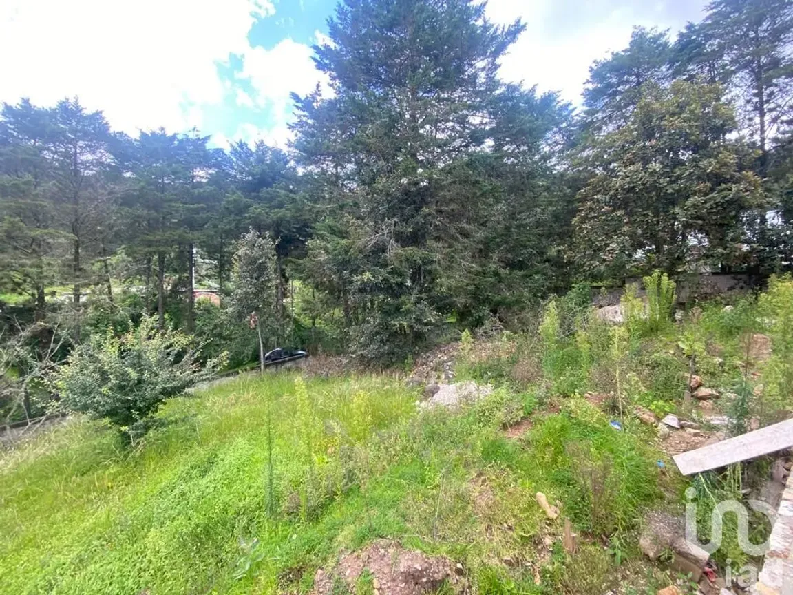 Terreno en Venta en Los Alcanfores, San Cristóbal de las Casas, Chiapas | NEX-182620 | iad México | Foto 7 de 12