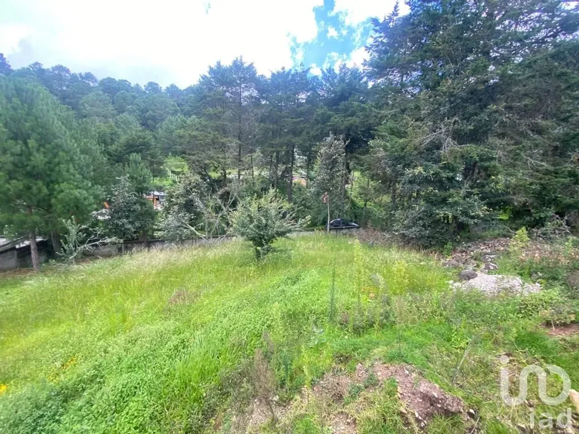 Terreno en Venta en Los Alcanfores, San Cristóbal de las Casas, Chiapas | NEX-182620 | iad México | Foto 8 de 12