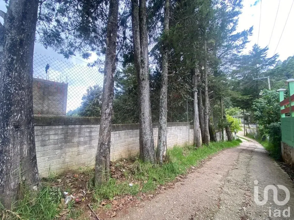 Terreno en Venta en Los Alcanfores, San Cristóbal de las Casas, Chiapas | NEX-182620 | iad México | Foto 9 de 12