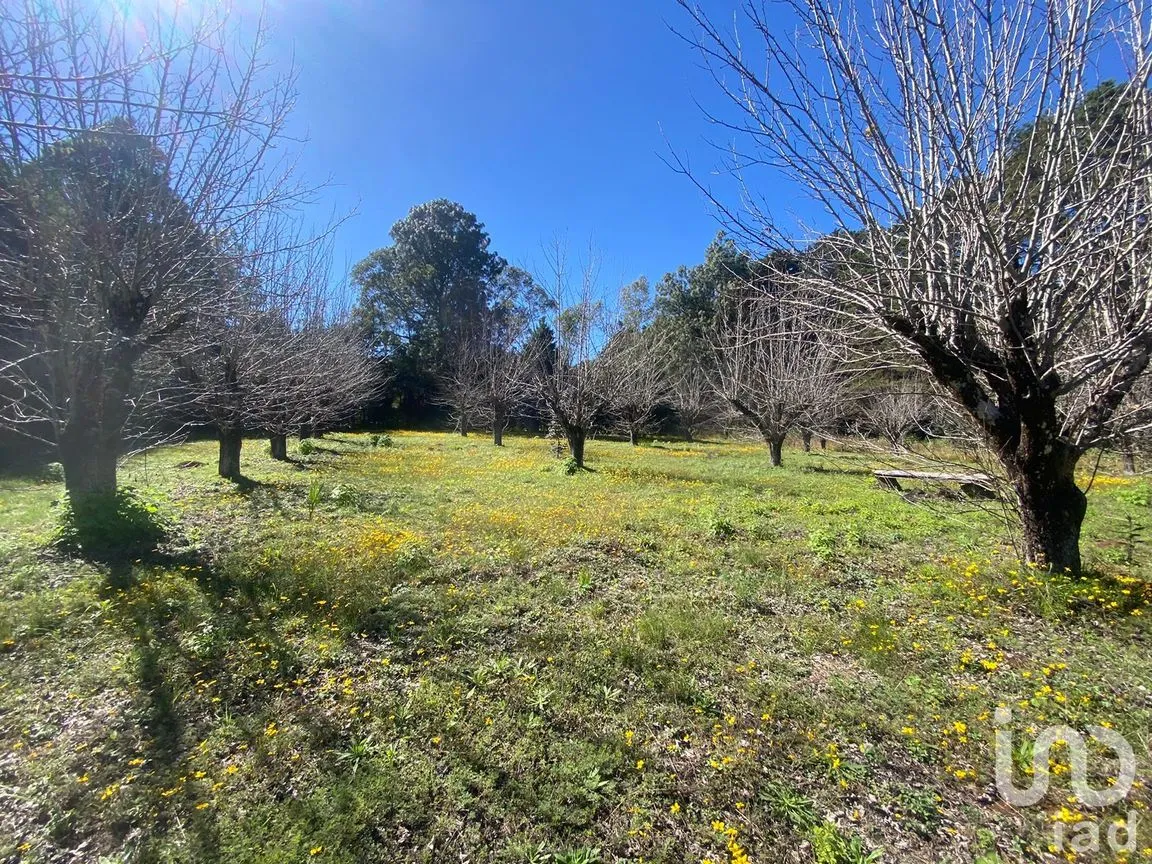 Terreno en Venta en Las Peras, San Cristóbal de las Casas, Chiapas | NEX-189282 | iad México | Foto 2 de 26