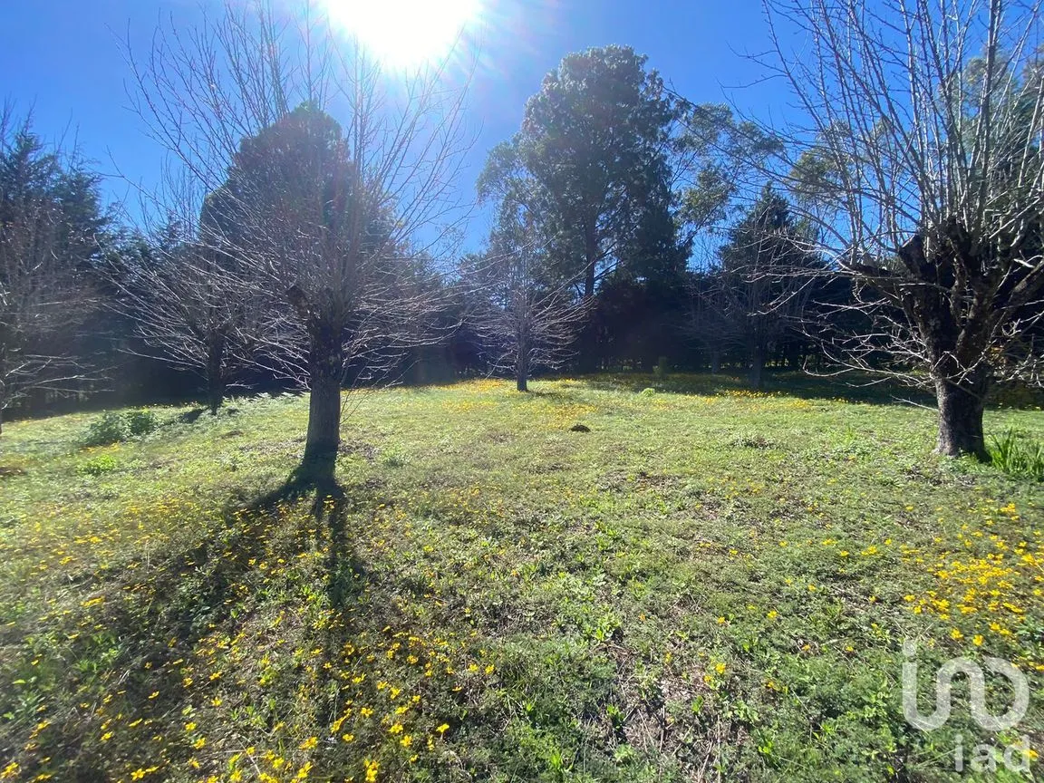 Terreno en Venta en Las Peras, San Cristóbal de las Casas, Chiapas | NEX-189282 | iad México | Foto 11 de 26