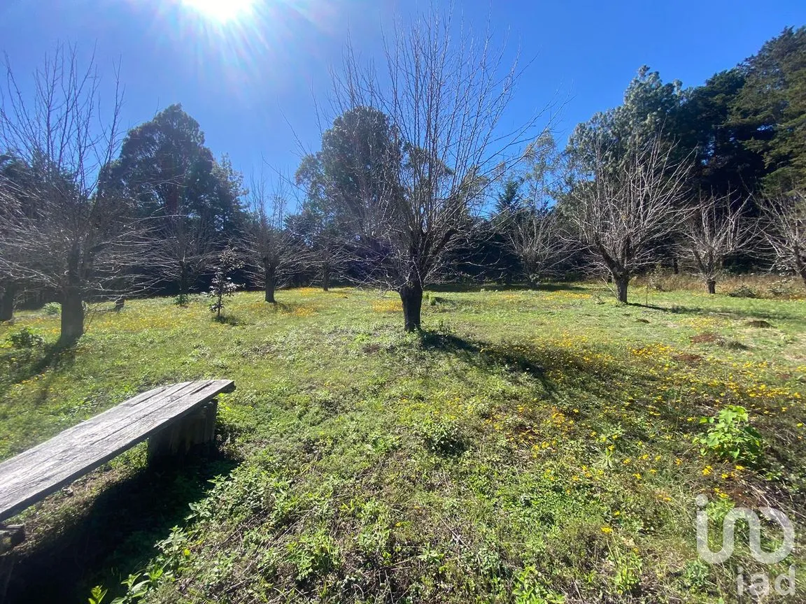 Terreno en Venta en Las Peras, San Cristóbal de las Casas, Chiapas | NEX-189282 | iad México | Foto 12 de 26