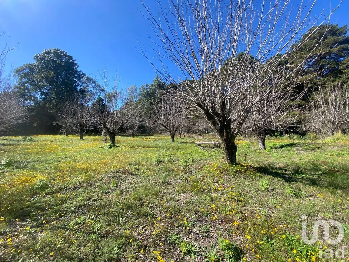 Terreno en Venta en Las Peras, San Cristóbal de las Casas, Chiapas | NEX-189282 | iad México | Foto 15 de 26