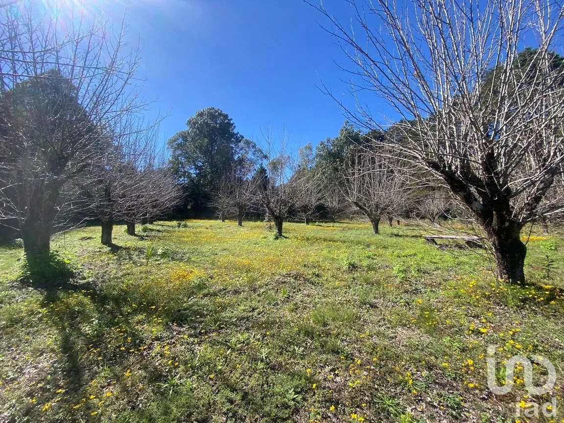 Terreno en Venta en Las Peras, San Cristóbal de las Casas, Chiapas | NEX-189282 | iad México | Foto 17 de 26