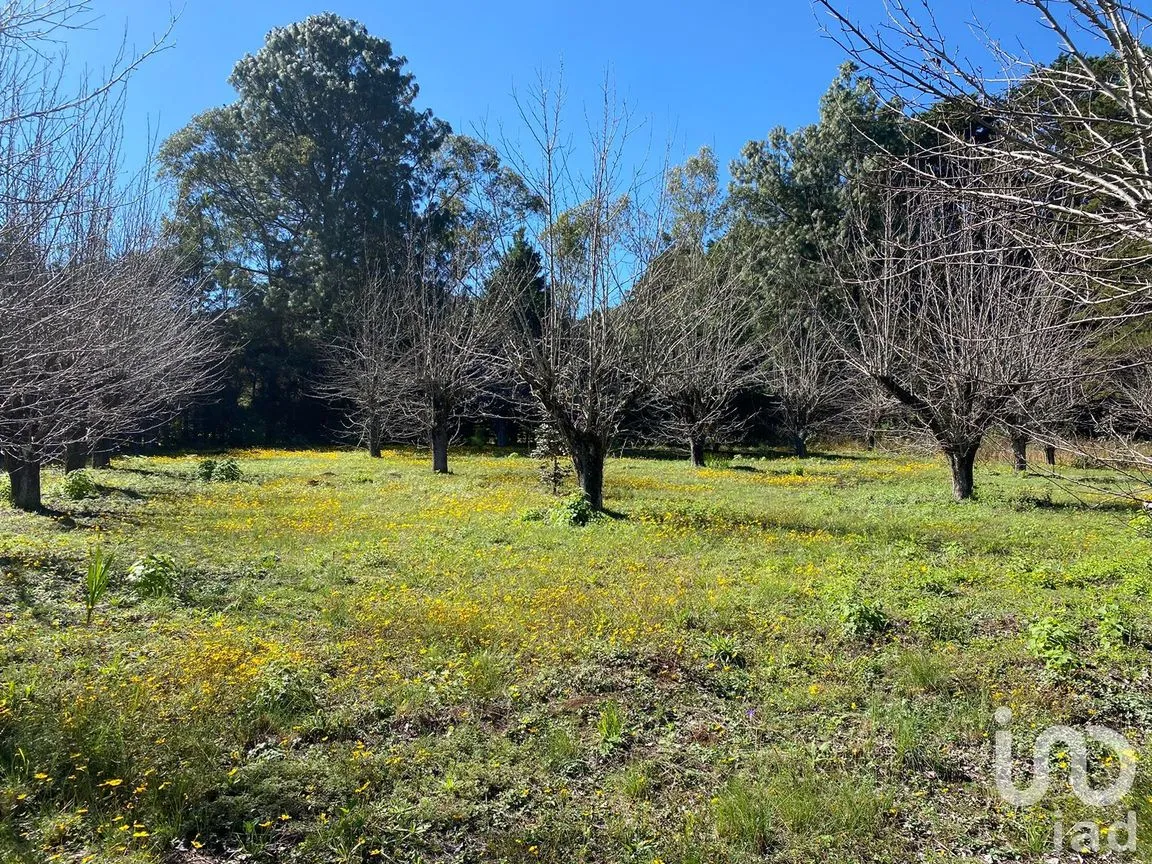 Terreno en Venta en Las Peras, San Cristóbal de las Casas, Chiapas | NEX-189282 | iad México | Foto 18 de 26