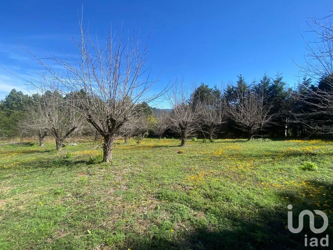 Terreno en Venta en Las Peras, San Cristóbal de las Casas, Chiapas | NEX-189282 | iad México | Foto 3 de 26